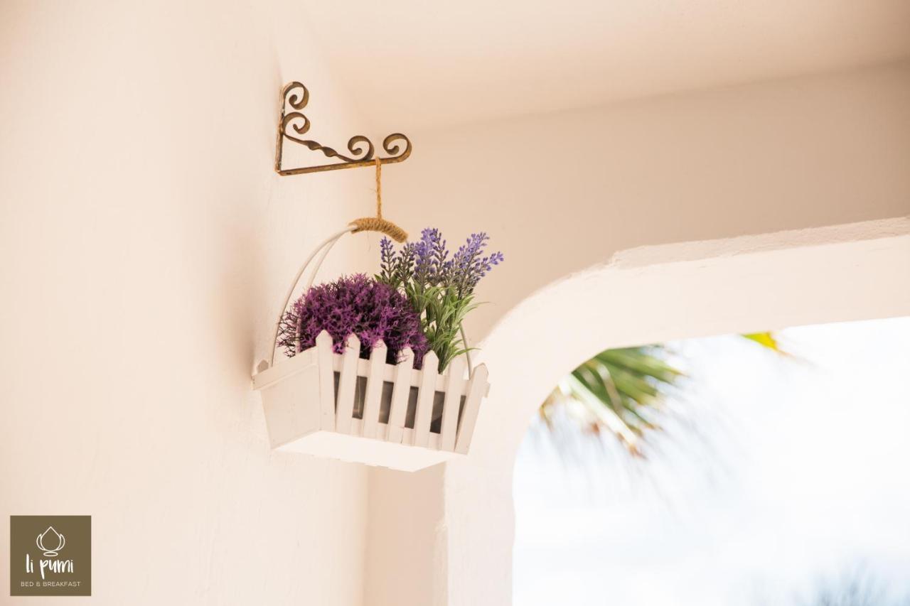 Li Pumi Bed & Breakfast Alliste Dış mekan fotoğraf